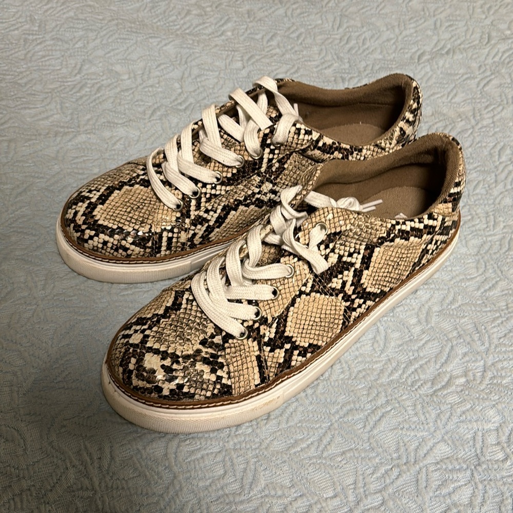 Steve Madden snake skin sneakers